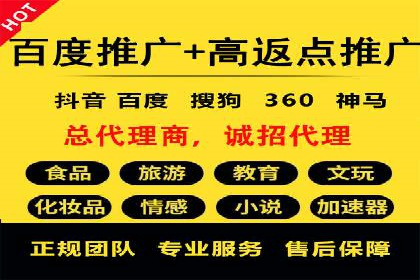 解析SEM竞价代运营的成功要素及案例
