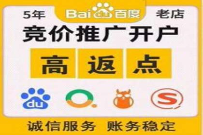 SEM广告创意与优化：成功案例分享